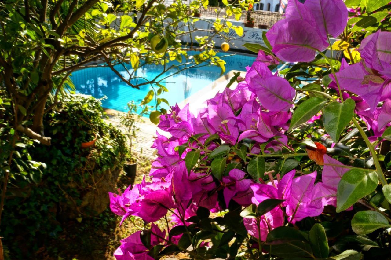 Villa Cinque Pini Casamicciola Terme Eksteriør bilde