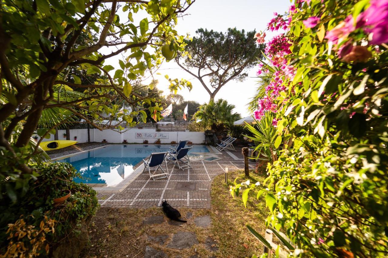 Villa Cinque Pini Casamicciola Terme Eksteriør bilde
